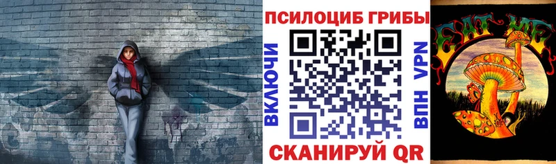 Псилоцибиновые грибы мицелий  это Telegram  Щёлкино 